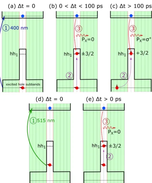 Figure 4. Schematic of the excitonic emission process. (a) Photoexcitation with the 400 nm pulse at Δt = 0, (b) relaxation/recombination processes for 0 &lt; Δt &lt; 100 ps, (c) relaxation/recombination processes for Δt &gt; 100 ps, (d) photoexcitation wit