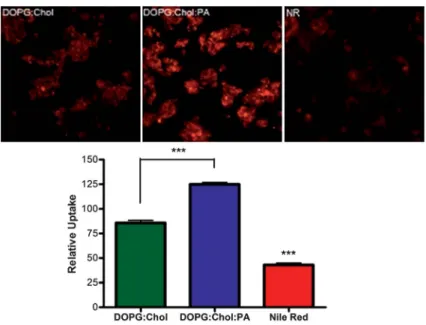 Fig. 2 Uptake of 10 mM Nile red by MCF7 cells. Nile red was administrated in free or liposome encapsulated form for 3 h