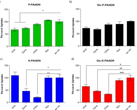 Figure 5. Uptake mechanism analyses of (a) P-PA/AON, (b) Glc-P-PA/AON, (c) K-PA/AON, and (d) Glc-K-PA/AON complexes