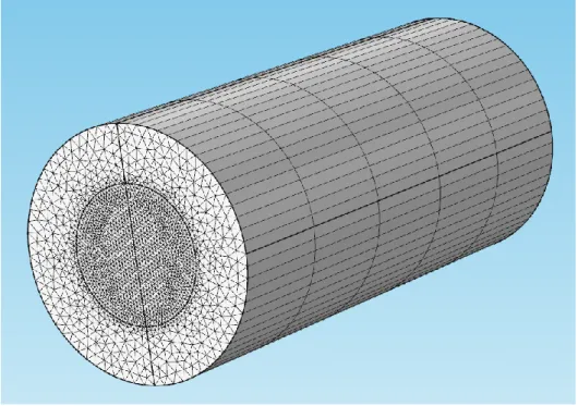 Figure  5.1:  Mesh  distribution  of  a  fiber  waveguide  with  air  cladding.  Simulation  parameters are : R f  = 1.8 µm, L = 15 µm, n f  =1.44, λ = 1.55 µm
