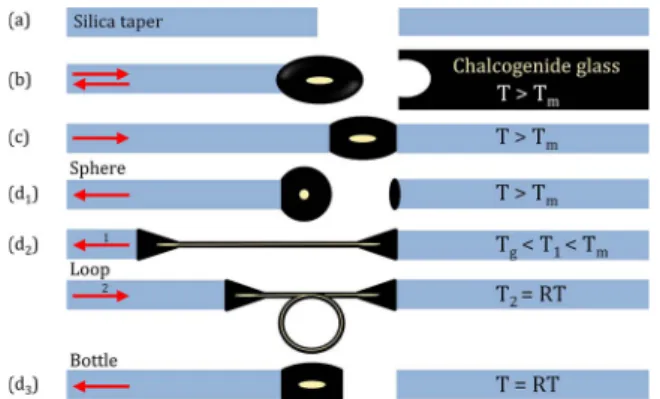 Fig. 2. ChG sphere microcavities: optical micrographs of (a) cleaved silica tapers, (b) a silica taper after its immersion into some molten ChG (see Visualization 1), (c) transfer of the ChG to a silica taper, (d) splicing of the ChG between the tapers, an