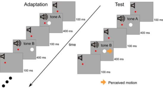 Figure 1.3: Experimental design for the study of Teramoto et al. [3].