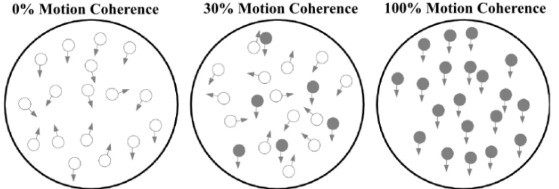 Figure 2.2: Random-dot stimulus diagram for three levels of coherence. At 100%