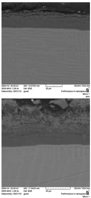 Fig. 2 Cross-sectional scanning-electron microscope image of surface oxide film formed by thermal treatment of Ti-47Al-2Cr at 950 °C