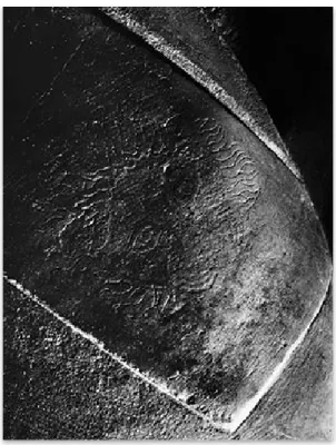 Figure 6: Raking light image of the outline incision of a lion's head,                                             National Archaeological Museum 