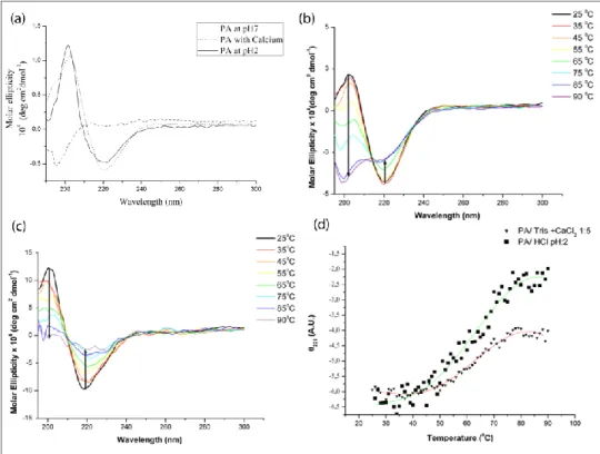 Figure 6.Circular dichroism spectra of the PA (a) at pH 7, PA at pH 2 and PA  with  CaCl 2   at  room  temperature