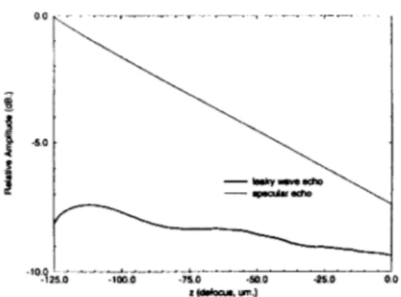 Figure  10:  Image of  MgO surface using  the leaky  wave  echo.  Image dimensions  are 3  mm by  3  mm