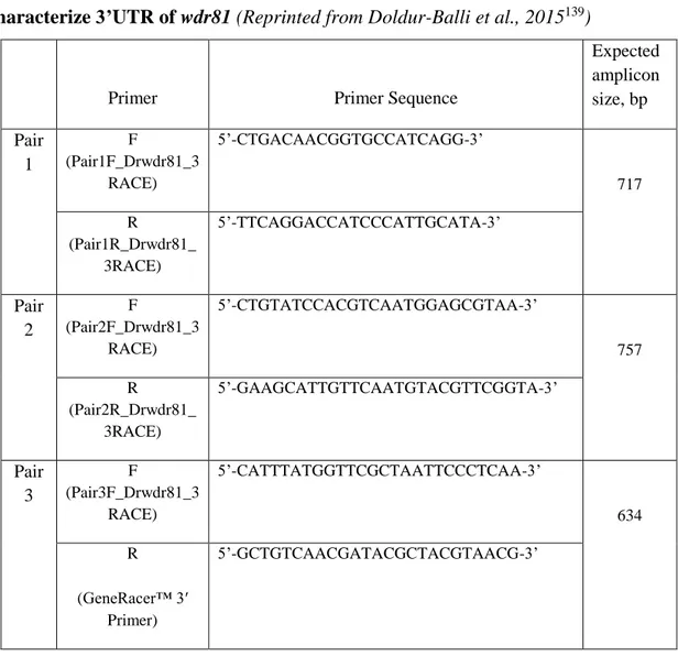 Table  4.  Primer  sets  designed  to  obtain  three  overlapping  amplicons  in  order  to     characterize 3’UTR of wdr81 (Reprinted from Doldur-Balli et al., 2015 139 ) 