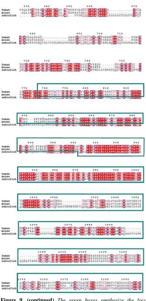 Figure  9.  (continued)  The  green  boxes  emphasize  the  location  of  the  predicted MFS domain 139 