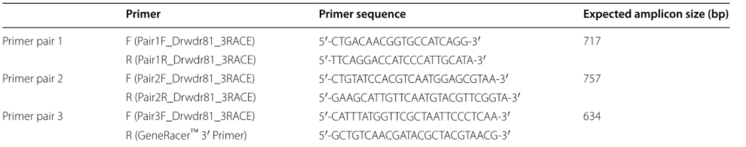 Table 3  Primer pairs used in the characterization of 3′ end of wdr81