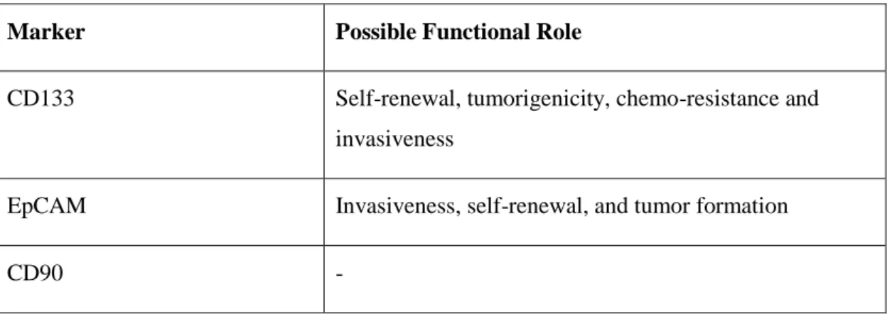 Table 1.1: List of CSC markers in HCC and their possible functional roles. Adapted  from [36] 