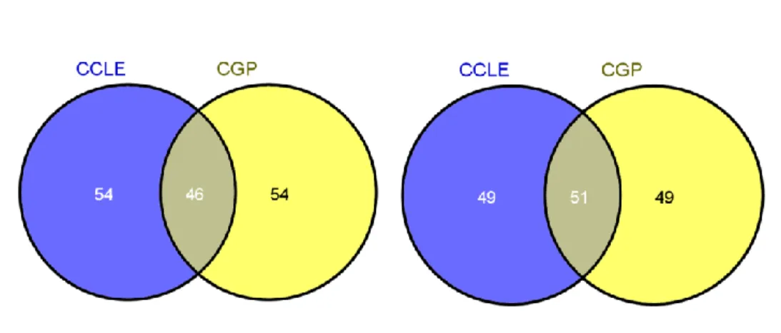 Figure 5.1: Common genes between genes selected from CCLE and CGP datasets. 