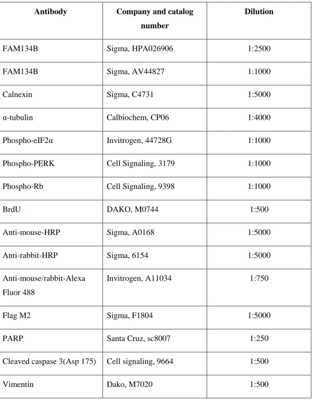 Table 3.2: Antibody list, catalog numbers and working dilutions  