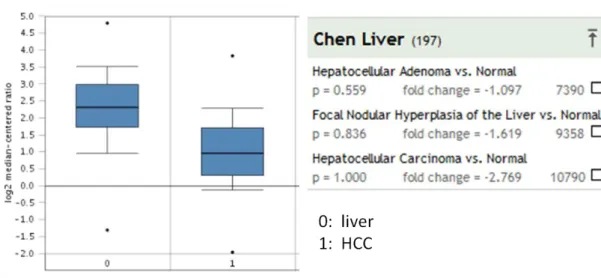 Figure 4.12: FAM134B expression in Chen liver data 