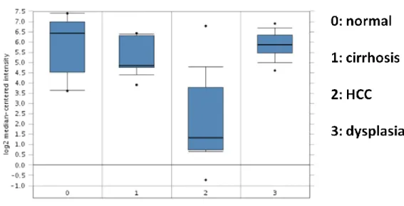 Figure 4.13: FAM134B expression in Wurmbach liver data  