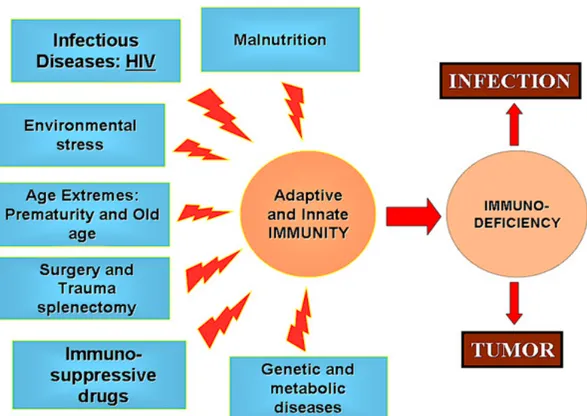 Figure 1.8 Major factors causing Secondary Immune Deficiencies. Secondary Immune  Deficiencies arise from extrinsic and/or environmental factors