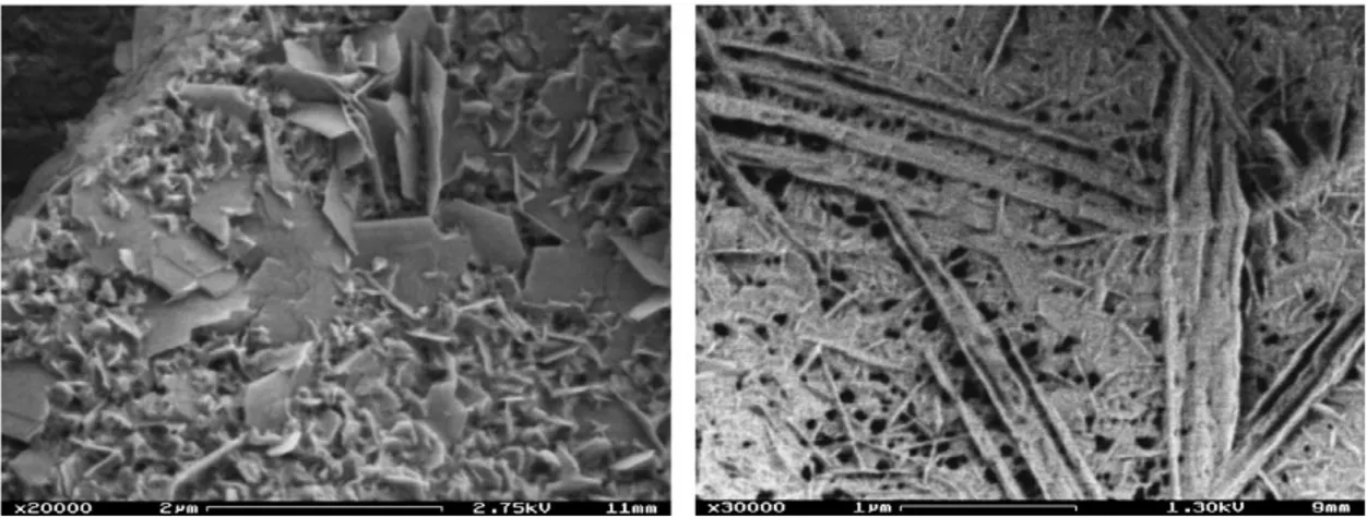 Fig. 3. Scanning electron micrographs of the LaMn 11 O 19 powders after the calcination at 1400 8C.
