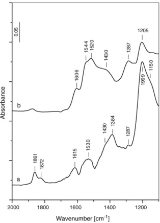 Fig. 6. FT-IR spectra of NO (30 Torr) adsorbed on the activated LaMn 11 O 19 sample for 20 min at room temperature (a) and after adsorption of 100 Torr of O 2 at room temperature for 30 min followed by evacuation for 15 min (b)