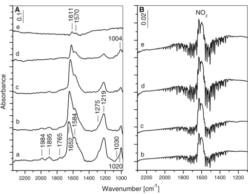 Fig. 3 a FT-IR spectra of the 25NbZ-P catalyst taken after the adsorption of a (10 mbar NO ? 20 mbar O 2 ) mixture to the IR cell for 30 min at room temperature followed by evacuation for 30 min (a), and after heating the isolated IR cell for 15 min at 100