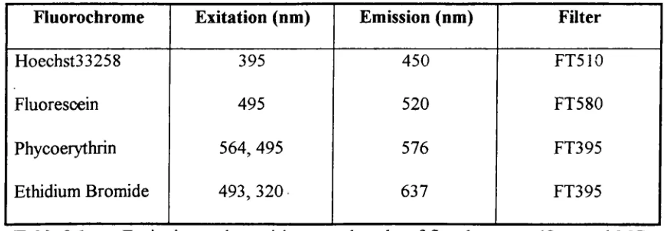 Table  2.1.  Excitation  and  emmision  wavelengths  o f fluochromes.  (Ormerod  MG,  1994)