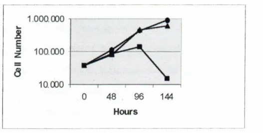 Figure 3.1  Growth  curves  Huh7  cells  grown  in  control  medium  (·);  Se-repleted  medium  (with  10*’ M Na 2 Se 03 )  (A);  Se-deficient medium  (with  0.1%  FCS) (■).