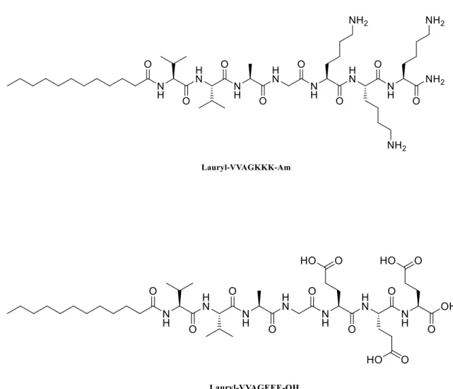 Figure 2. 2 Chemical structure of positively charged K 3 PA Lauryl-VVAGKKK-Am  and negatively charged E 3 PA Lauryl-VVAGEEE-OH 