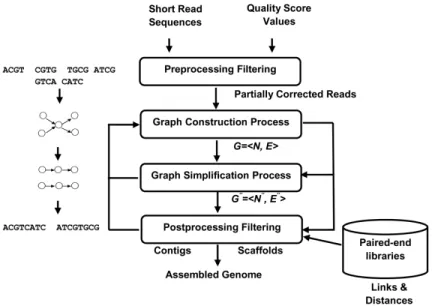 Figure 2.1: Schematic representation of the four stages of the next-generation genome assembly process (adapted from [2])