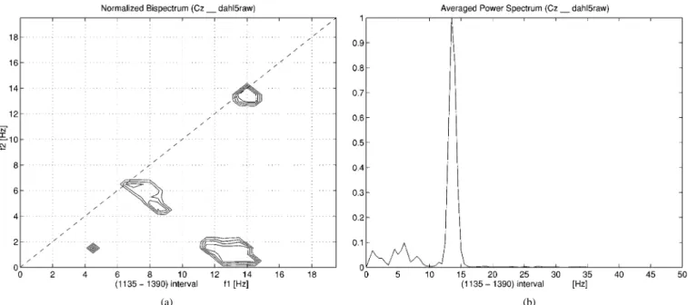 Fig. 5. For data set of Cz, C1, C2, C3, C4, C5, C6, C7 from samples 1135–1390. (a) Contour plot of the normalized bispectrum