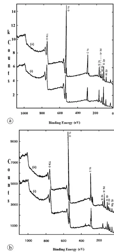 Fig. 5. SEM microimages of the surfaces of: (a) natural kaolinite, (b) natural magnesite.