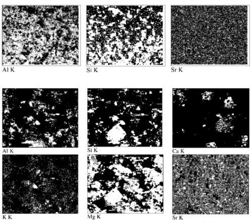 Fig. 7. EDS mapping of Al, Si, and Sr on the surface of natural kaolinite.