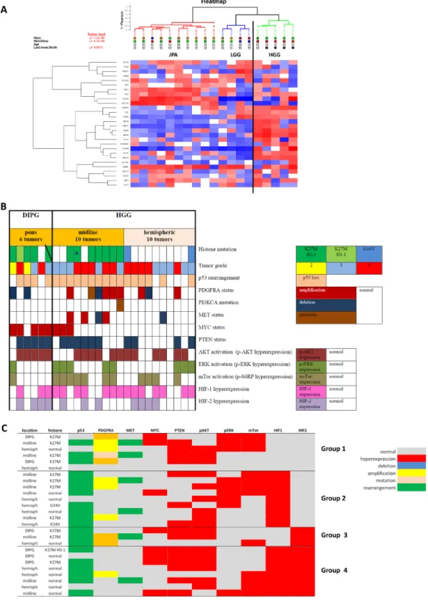 Figure 1: Status of the mTOR/HIF-1α/HIF-2α/MYC axis and their upstream and downstream signals in a patient  cohort of 26 pHGGs