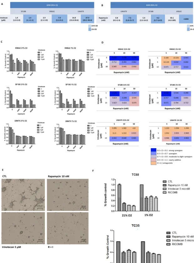 Figure 4: Efficacy of rapamycin, irinotecan and the combination of both in terms of anti-proliferative effect measured  at 72 hours from treatment in normoxic and hypoxic conditions in the 3 cell lines and in TC68/TC35