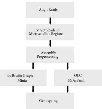 Figure 1. Microsatellite characterization pipeline using local  assembly.
