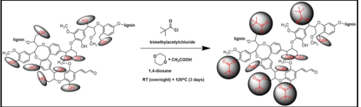 Figure 15. Acylation reaction scheme of lignin with trimethylacetychloride. 