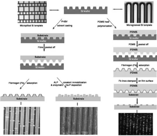 Figure 1. Schematic presentation of the methods used for ﬁlm surface modiﬁcation.