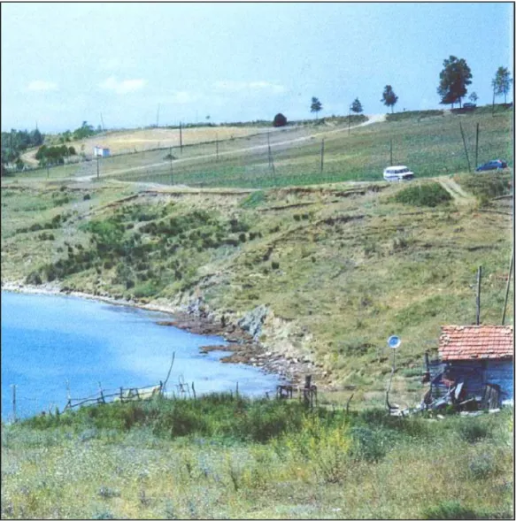Figure 1.2: Demirci valley, excavation field. 