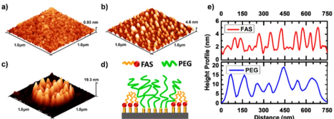 Figure 4. Assembly of colloidal gold NSs on patterns of PEG printed on the hydrophilic (a, b) and hydrophobic (c, d) substrates