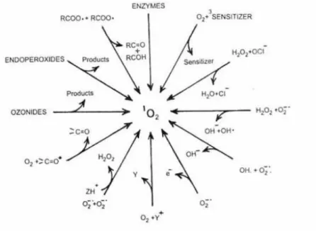 Figure 2: A schematic representation of different ways of generating oxygen. 