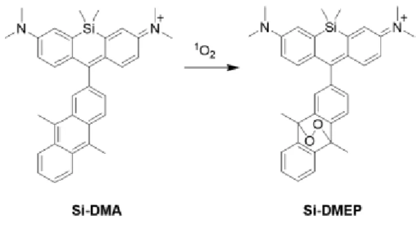 Figure 14: Structure of the Si-DMEP endoperoxide for oxidation of DNA. 
