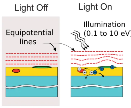 Figure 3.2. Surface potential distribution of a composite surface  containing n and/or p-type domains can be perturbed upon illumination  by light (0.110 eV photons) due to the photovoltaic effect