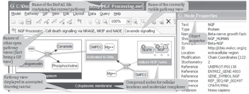 Fig. 1. ChiBE views are organized in canvasses, each displaying one or more BioPAX pathways.