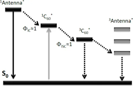 Figure  11. Simplified Jablonski diagram showing the photopysics of C60- C60-chromophore hybrids as heavy atom free triplet PSs