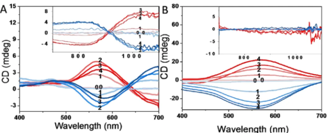 Figure 4. CD spectra of (A) L - and D -Asp-NPs (red and blue, respectively) (inset: NIR range of corresponding CD spectra) and (B) L - and D -Pro-NPs (red and blue, respectively) (inset: NIR range of corresponding CD spectra) containing diﬀerent concentrat