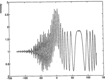 Fig. 2.  Computer simulation of the input pattern.
