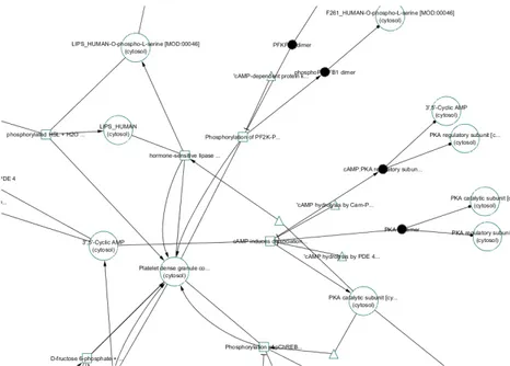 Figure 1.2: Visualization of a biological pathway (PKA-mediated phosphorylation of CREB) with a simple graph structure in Cytoscape [12]