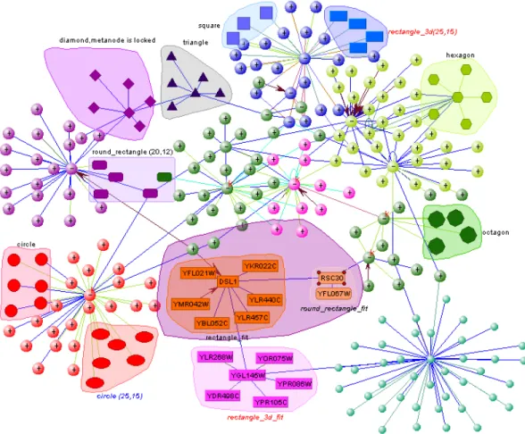 Figure 3.6: Visualization of a sample network in VisANT with nested node groups