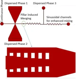 Figure 1 shows the layout of the microfluidic device. 