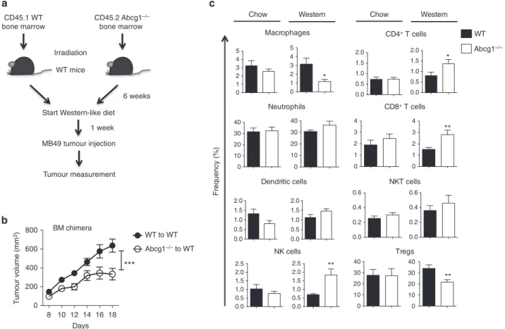 Figure 2 | Impact of ABCG1 deﬁciency on tumour growth is immune cell mediated. (a,b) Bone marrow chimeras were generated by reconstituting irradiated B6.SJL mice (n ¼ 16 total) with bone marrow cells from CD45.1 þ B6.SJL (WT) or CD45.2 þ Abcg1  /  donor 