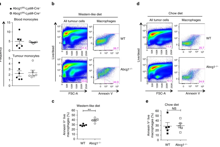 Figure 4 | Abcg1  /  macrophages in the tumour display enhanced apoptosis under Western-like diet conditions