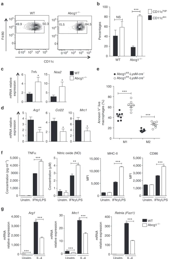 Figure 5 | Abcg1  /  macrophages shift towards an M1 phenotype in the tumour. (a,b) Tumour cells from Western-like diet-fed Abcg1  /  (n ¼ 6) and WT mice (n ¼ 6) mice were analysed by ﬂow cytometry 20 days after injection of MB49 cells